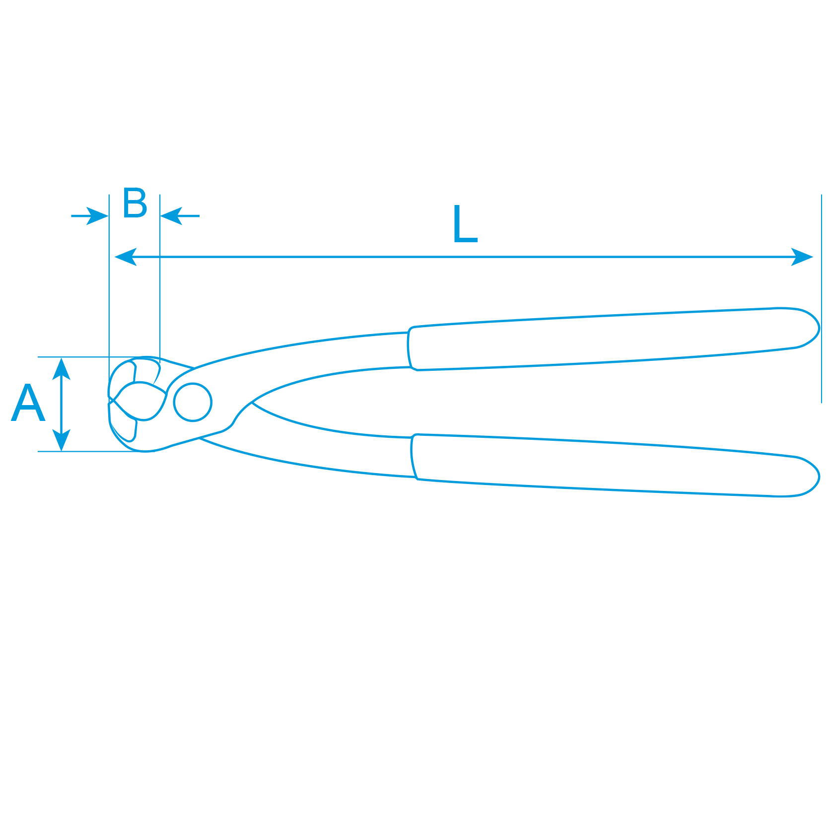 593022 - Tenaille russe – Image 2