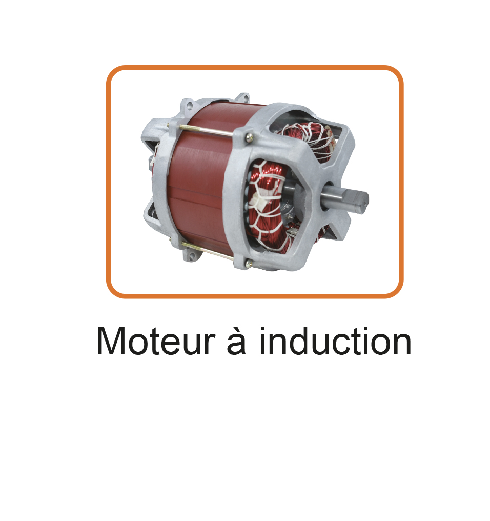 722160 - Tondeuse à gazon 1600W – Image 2